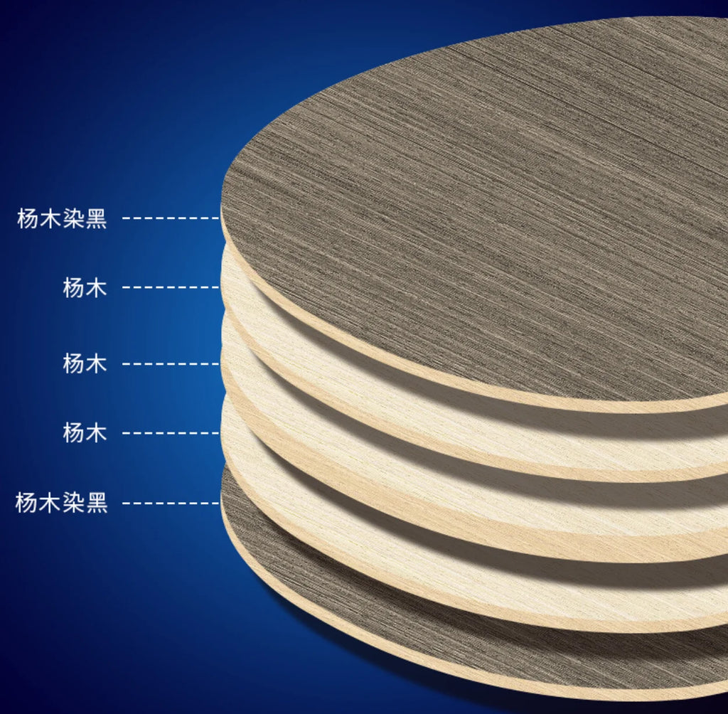 LOKI K5000 FL Long HandleTable Tennis Racket Home Entertainment PingPong Rackets with Blue Color Ping Pong Rubber